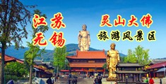 无码仙网站江苏无锡灵山大佛旅游风景区